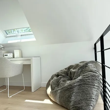 Superbe Contemporaine Avec Piscine, Sainte Marine Combrit